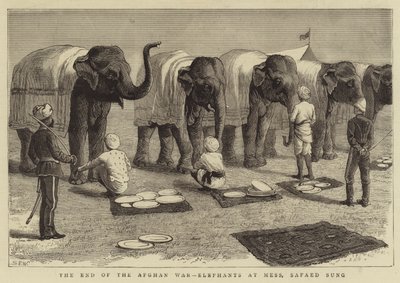 阿富汗战争的结束，大象在混乱，Safaed Sung 作者 塞缪尔·埃德蒙·沃勒